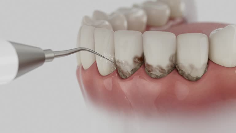 Reliable Dental contractor in Lonaconing, MD by Dentist Open Now